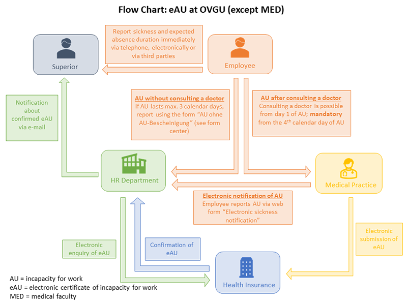 Graphical representation of the electronic sickness notification process