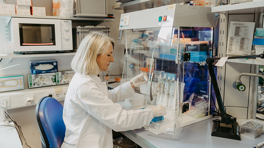 Prof. Monika Brunner-Weinzierl analysiert virusspezifische T-Zellen von gesundeten COVID-19-Patienten und von mRNA-geimpften Personen (Foto: Jana Dünnhaupt / Uni Magdeburg)