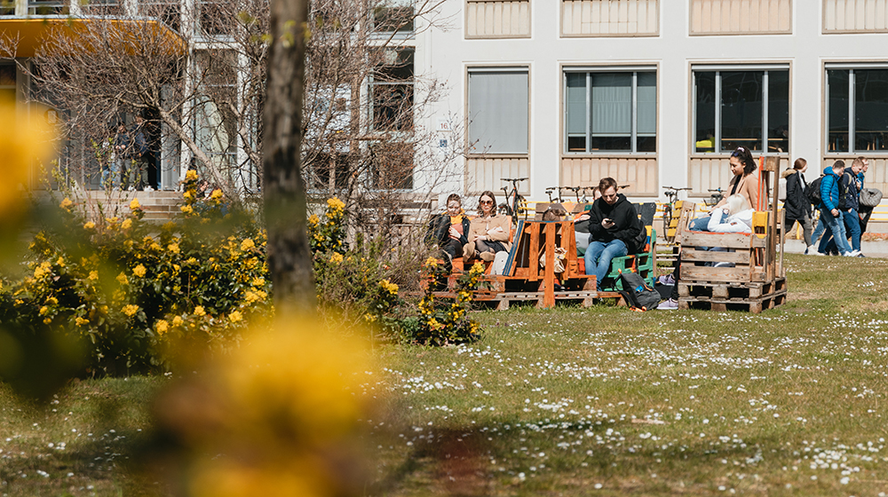 Studierende sitzen im Frühling auf Palettenmöbeln auf dem Campus (Foto: Hannah Theile / Uni Magdeburg)
