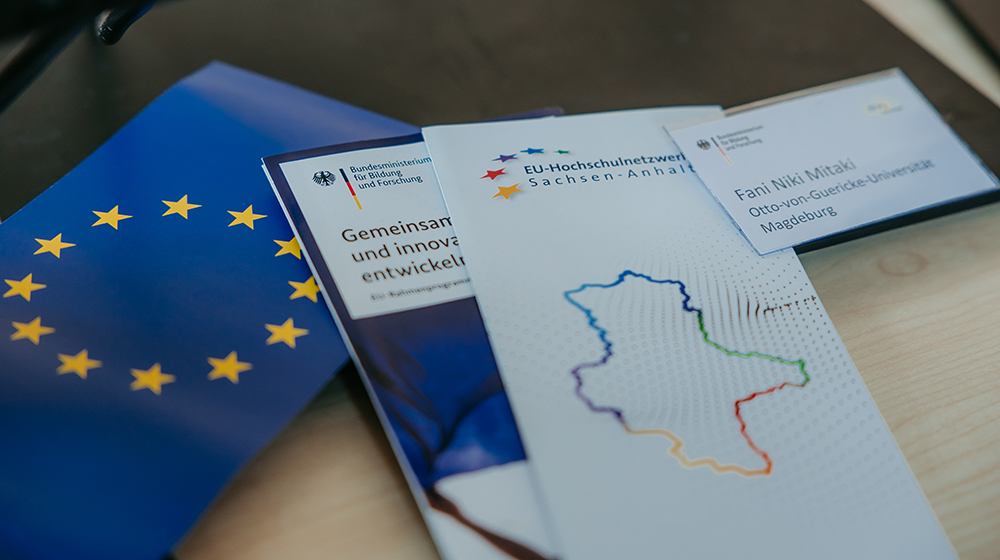 Flyer und EU Flagge (c) Jana Dünnhaupt Uni Magdeburg