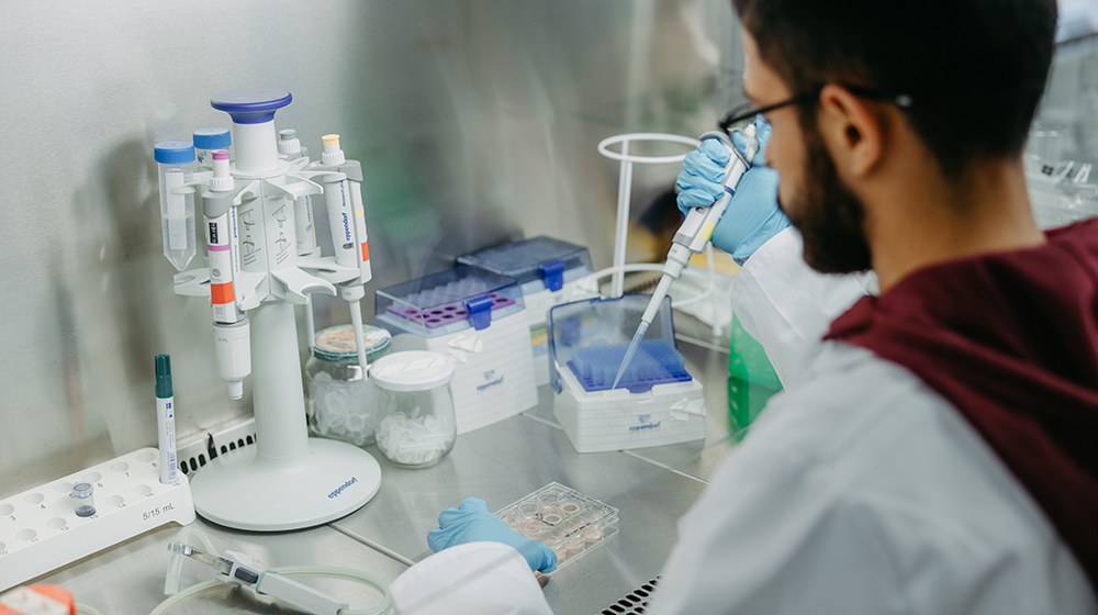 Junger Nachwuchswissenschaftler bereitet im Labor das Zellgewebe auf (Foto: Jana Dünnhaupt / Uni Magdeburg)