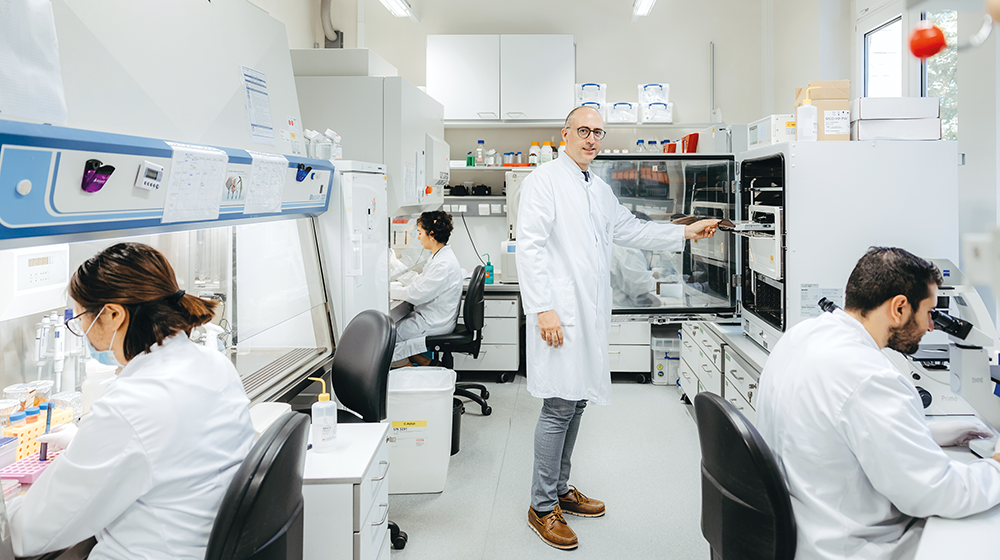 Im Zellkulturlabor werden sowohl Patienten- als auch Modellzellen unter verschiedensten Bedingungen, auch unter Zugabe von Therapeutika, angezüchtet und vermehrt. (Foto: Jana Dünnhaupt / Uni Magdeburg)