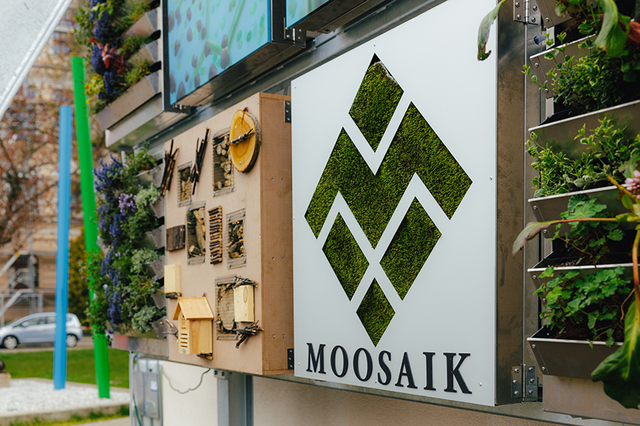 Die Installation von Moosaik auf dem Campus der Uni Magdeburg (Foto: Jana Dünnhaupt / Uni Magdeburg)