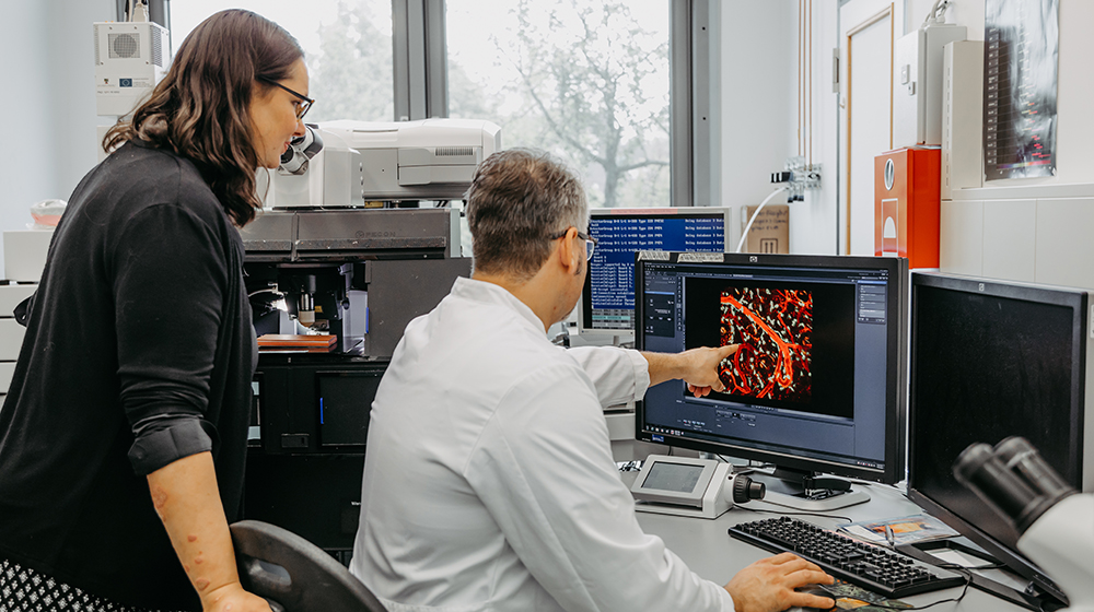 Prof. Dudeck schaut sich mit einem Kollegen eine Mikroskopaufnahme von Mastzellen an (c) Jana Dünnhaupt Uni Magdeburg