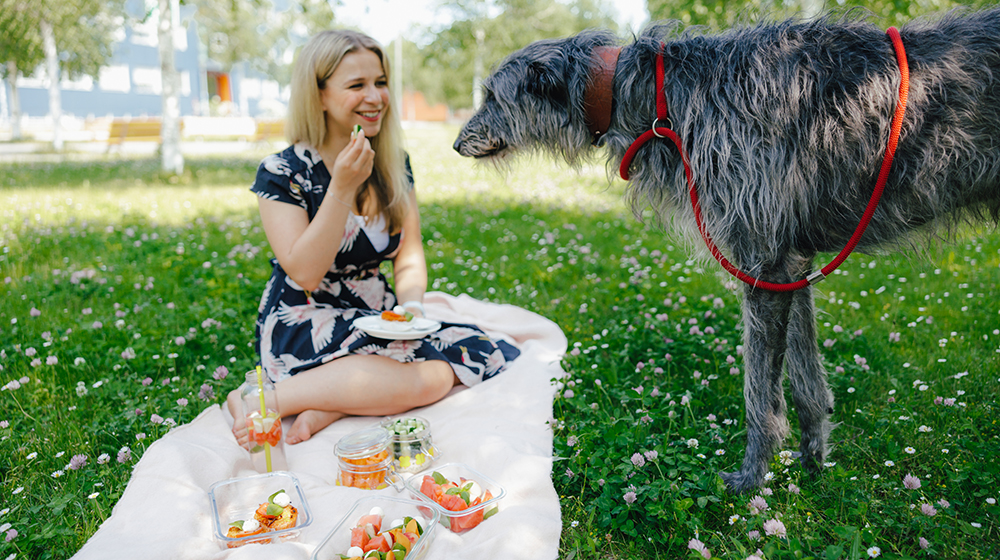 Die Foodbloggerin Vivian beim Mittagspicknick mit vorbereiteten Snacks (c) Jana Dünnhaupt Uni Magdeburg